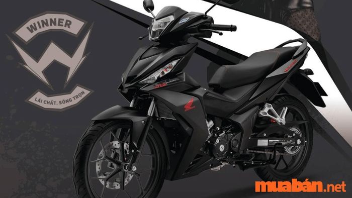 Phân khối xe là gì? Các loại xe phân khối và đặc điểm của chúng trên thị trường hiện nay.