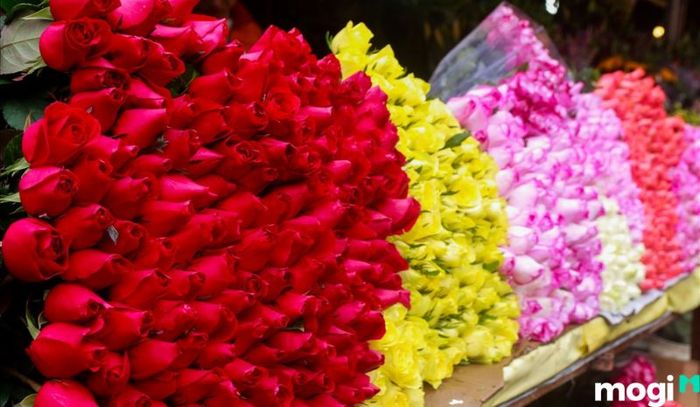 Điều đầu tiên bạn cần làm là biết cách chọn hoa đúng cách