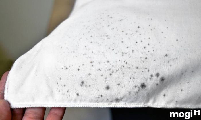 Cách tẩy mốc quần áo màu