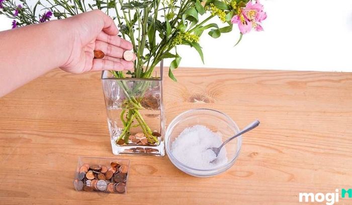Cách giữ hoa tươi lâu bằng đồng xu là một phương pháp rất hiệu quả.