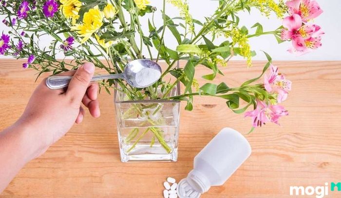 Ngoài ra, bạn có thể sử dụng thuốc tẩy để pha nước cắm hoa, giúp giữ cho hoa lâu tươi hơn.