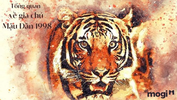 Thông tin tổng quan về gia chủ Mậu Dần 1998