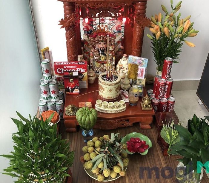 Cóc vào nhà có thể là điềm báo gì?