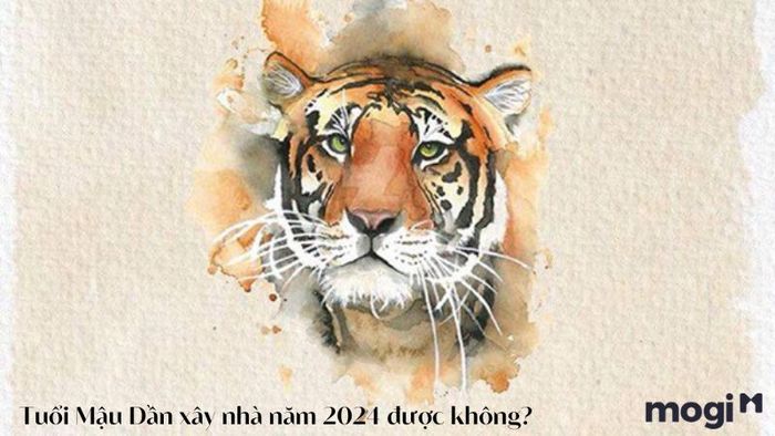 Có nên xây nhà vào năm 2024 đối với tuổi Mậu Dần?