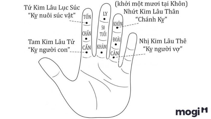 Tuổi Mậu Dần năm 2024 có bị dính hạn Kim Lâu không?