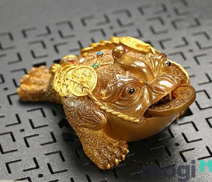 Cóc vào nhà mang điềm báo gì?
