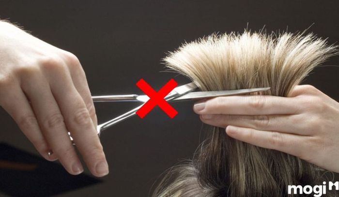 Cắt tóc vào ban đêm không phải là lựa chọn tốt