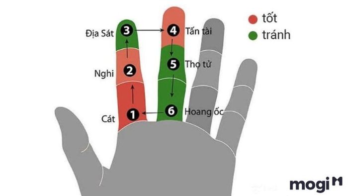 Tuổi Mậu Dần 2024 có gặp hạn Hoang Ốc không?
