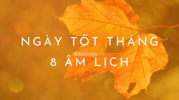 Ngày tốt tháng 8 âm lịch năm 2024