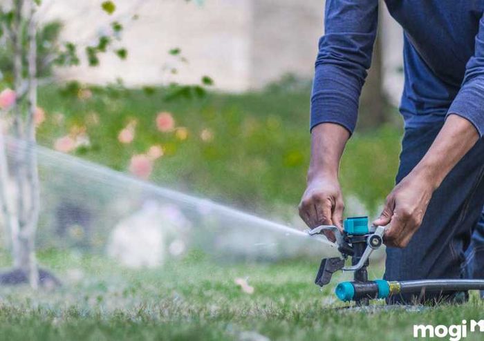Tưới nước hợp lý cho vườn rau sạch tại nhà