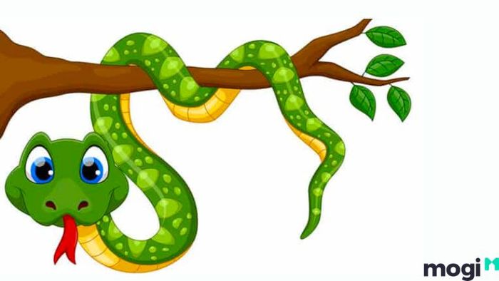 Giấc mơ thấy rắn là điềm báo tốt hay xấu?