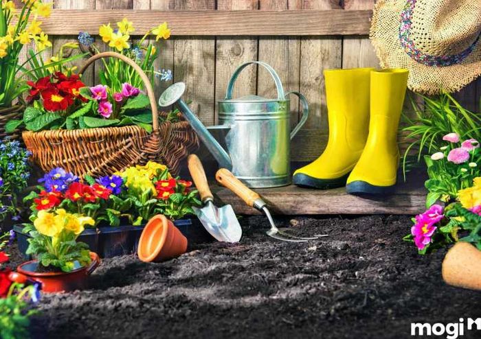 Chuẩn bị các dụng cụ cần thiết để trồng vườn rau sạch tại nhà