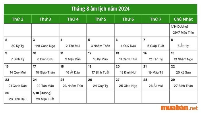 Tháng 8 âm lịch năm 2024 bắt đầu từ ngày 01/08 đến 30/08/2024 âm lịch, tương ứng với khoảng thời gian 03/09 đến 01/10/2024 dương lịch.