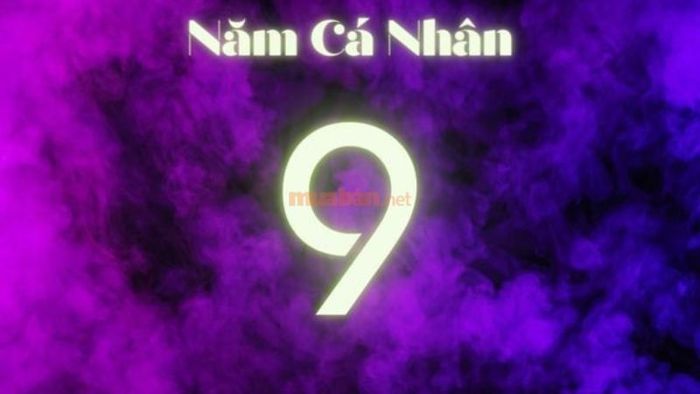 Năm cá nhân số 9 có những ý nghĩa đặc trưng tùy vào số chủ đạo của từng người.