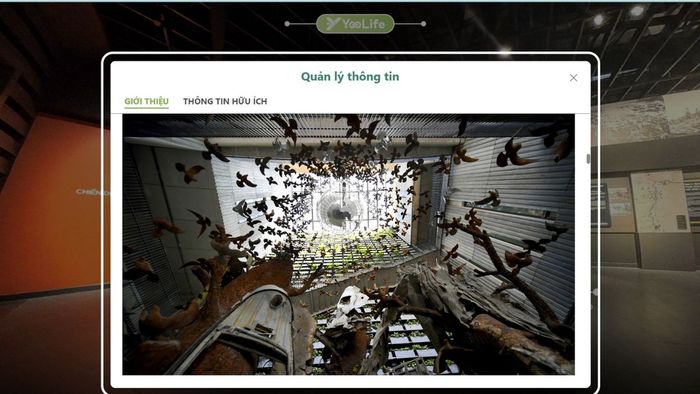 Hướng dẫn tham quan Bảo tàng Lịch sử Quân sự 360 độ trực tuyến - Bước 4