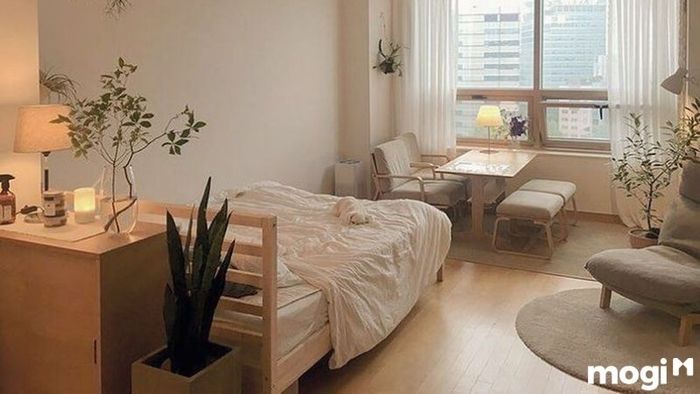 Mẫu thiết kế phòng trọ 12m2 thông minh và tiện nghi tối đa