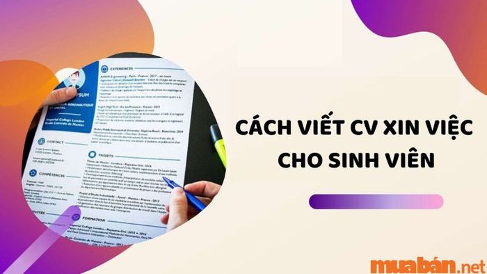Hướng dẫn viết CV xin việc cho sinh viên mới ra trường hoặc chưa có kinh nghiệm làm việc