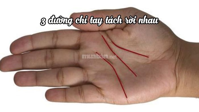 Khám phá ý nghĩa ba đường chỉ tay tách rời: Điều bạn chưa biết!