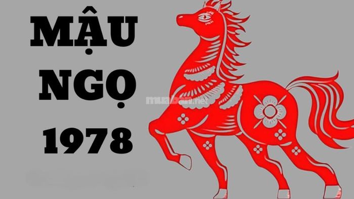 Tổng quan về người tuổi Mậu Ngọ 1978