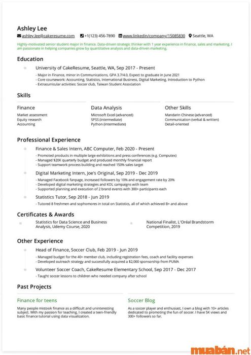 Mẫu CV xin việc dành cho sinh viên - Mẫu 5