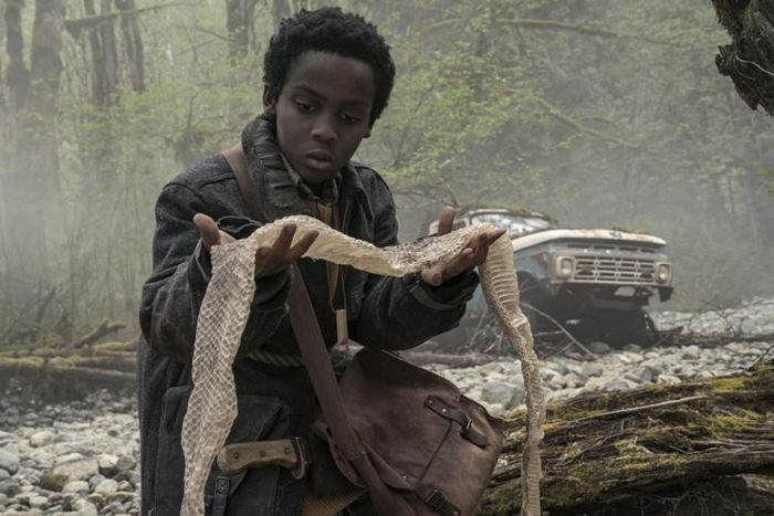 Đừng Buông Tay là một bộ phim chứa đựng sức mạnh gợi mở mạnh mẽ.