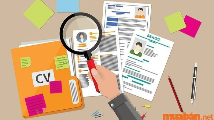 Những điều cần lưu ý khi viết CV xin việc cho sinh viên chưa có kinh nghiệm
