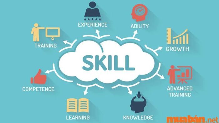 Kỹ năng trong CV xin việc của sinh viên