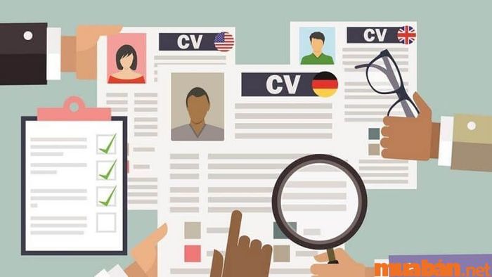 Lưu ý khi viết CV xin việc cho sinh viên chưa có kinh nghiệm