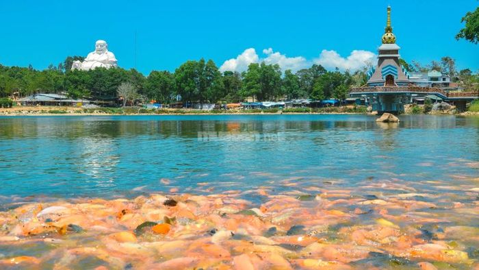 Bảng giá dịch vụ tại Khu du lịch Lâm Viên Núi Cấm