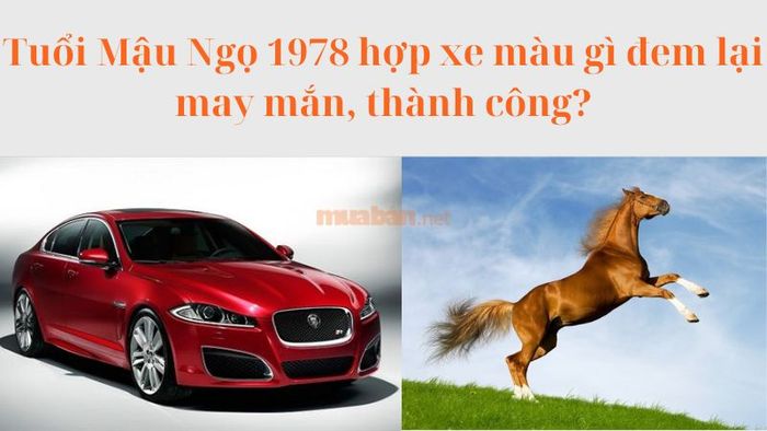 Mậu Ngọ 1978 hợp với màu xe nào giúp mang lại may mắn và thịnh vượng?