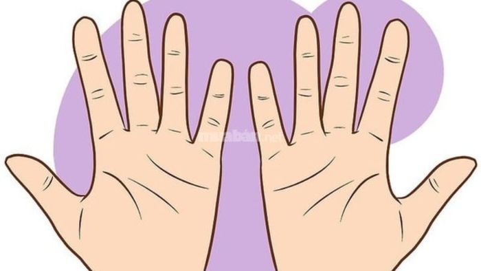 Lời khuyên dành cho người có ba đường chỉ tay tách biệt