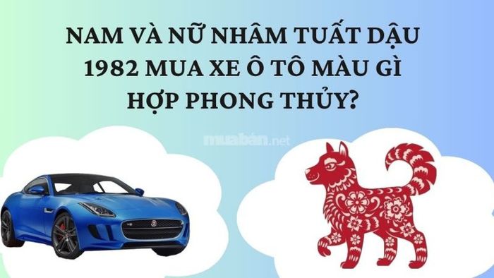 Tuổi Nhâm Tuất 1982 nên chọn màu xe nào để thu hút may mắn và tài lộc?