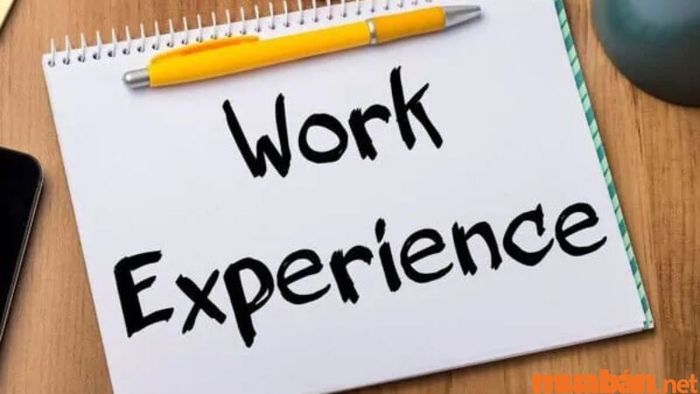 Kinh nghiệm làm việc trong CV xin việc của sinh viên