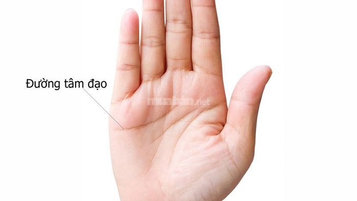 Đường tâm đạo (tình duyên)