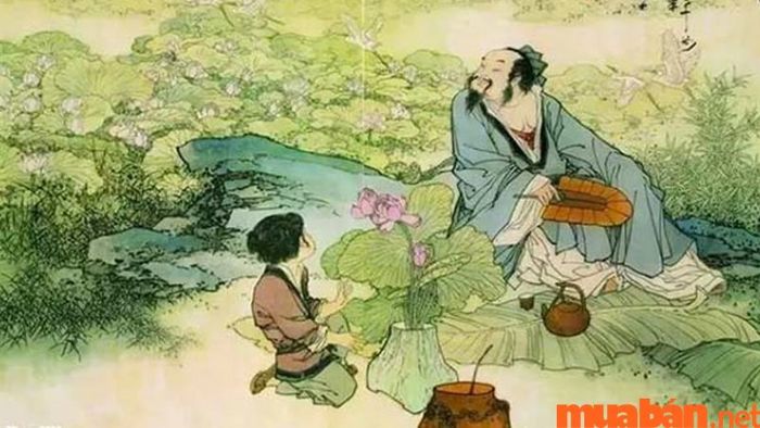 Cung Tử Tức trong tử vi