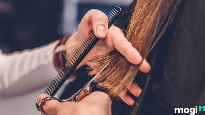 Hạn chế cắt tóc trước kỳ thi