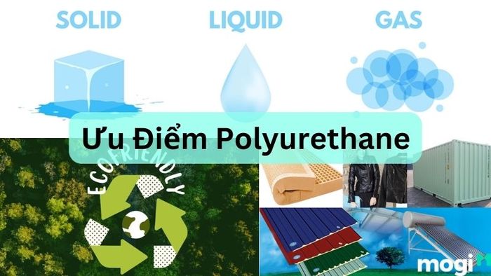 Polyurethane là gì?