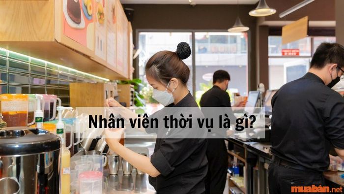 Nhân viên thời vụ là gì? Những điều cần biết khi xin việc thời vụ