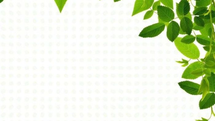 khung-nen-dep-14