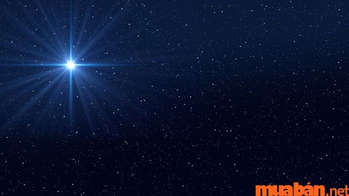 Cách để cực tốt sao Điếu Khách