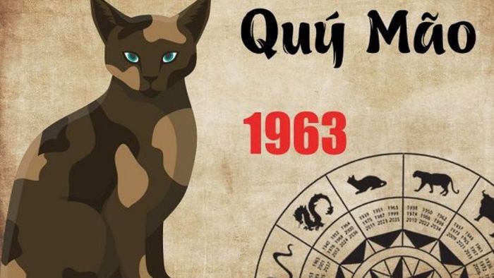 Sinh năm 1963 là tuổi gì?