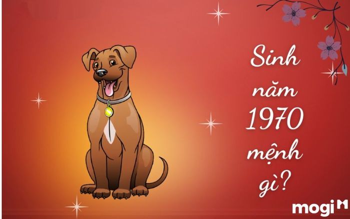Sinh năm 1970 thuộc tuổi gì?
