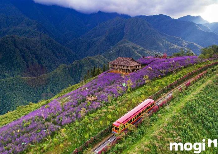 Thung lũng Mường Hoa, nổi tiếng là thung lũng đẹp nhất ở Sapa, với cảnh sắc thiên nhiên tuyệt vời và là điểm đến không thể bỏ qua của bất kỳ du khách nào khi đến Sapa.