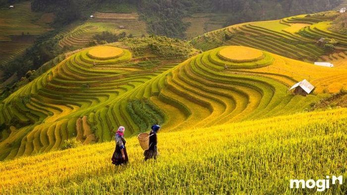 Khám phá vùng Tây Bắc