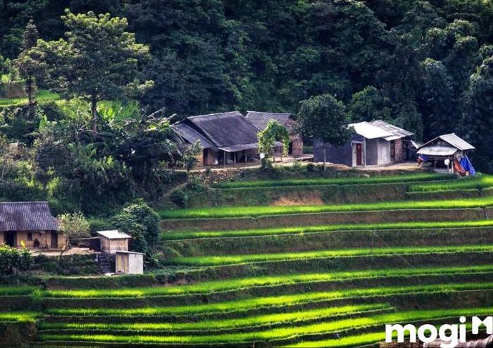 Bản Má Tra – Địa Điểm Du Lịch Sapa Đầy Hấp Dẫn