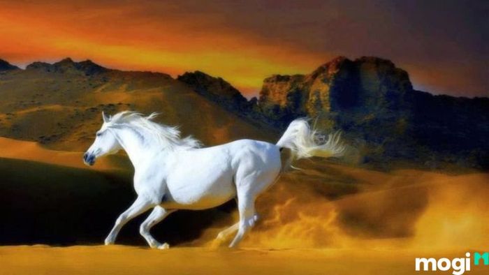 Các ngày đẹp tháng 7 năm 2024 dành cho người tuổi Ngọ