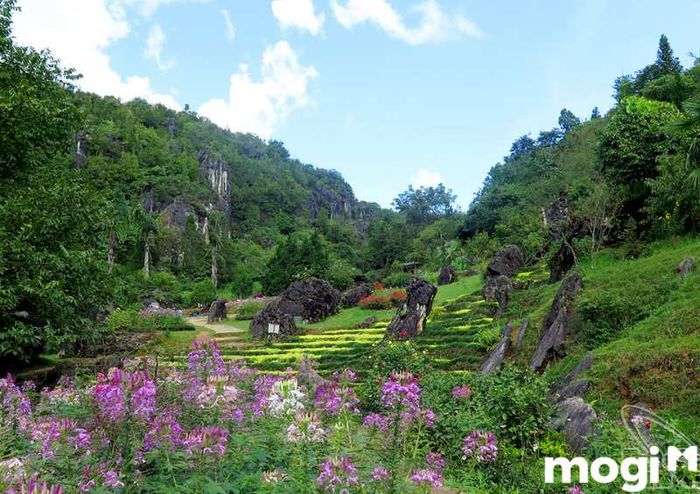 Núi Hàm Rồng, hay còn gọi là Hàm Rồng Sơn, là một ngọn núi nổi tiếng thuộc tỉnh Lào Cai, được biết đến với vẻ đẹp thiên nhiên hoang sơ và khí hậu trong lành.