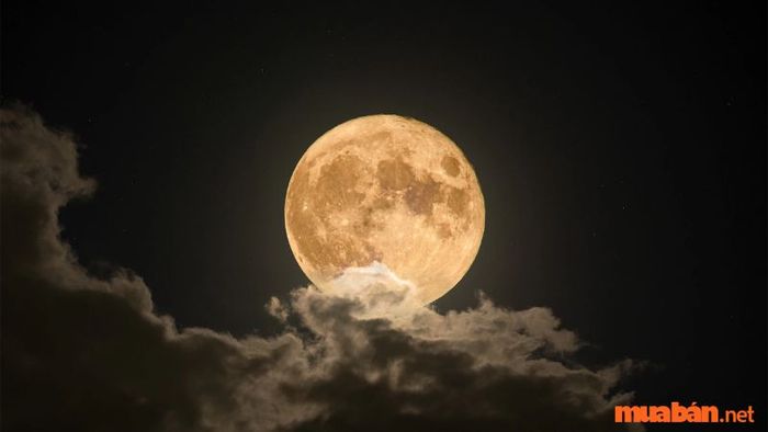 Tránh cắt tóc vào đầu tháng và ngày rằm để bảo vệ vận may và năng lượng tích cực trong cuộc sống.