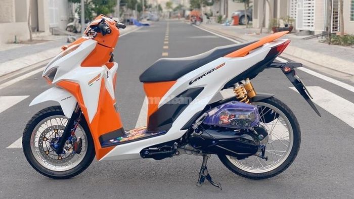 Vario độ trắng cam, tạo nên vẻ tươi mới, đầy sức sống.