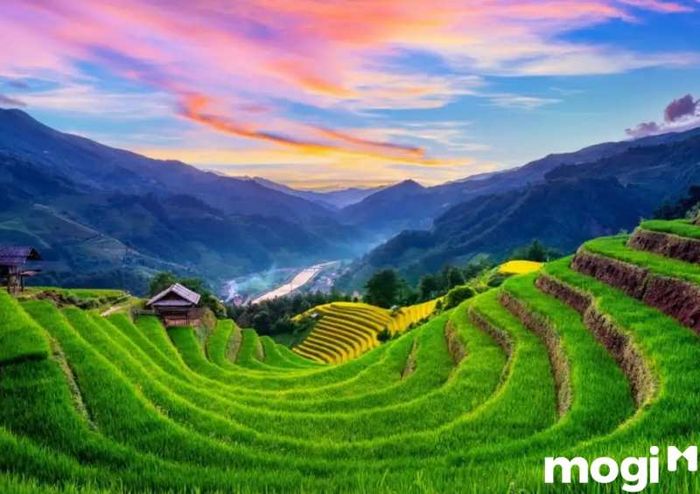 Du lịch Sapa, bạn nên đến vào thời điểm nào trong năm để tận hưởng trọn vẹn vẻ đẹp nơi đây?